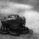 Serene grey bedroom walls bring balanced energy, following Feng Shui principles