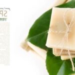 Are Plants Good Feng Shui in the Bedroom Optimize bedroom energy with plants - Good Feng Shui for relaxation and harmony