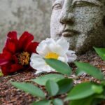 Creating a peaceful environment to optimize personal feng shui in the bedroom