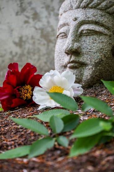 Creating a peaceful environment to optimize personal feng shui in the bedroom