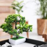 Tree in front of house for feng shui: enhancing positive energy and harmony