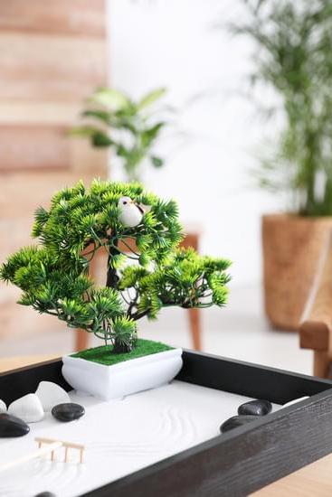 Tree in Front of House Feng Shui 1 Tree in front of house for feng shui: enhancing positive energy and harmony