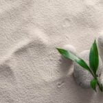 Feng Shui House Front Door Facing East East-Facing Front Door: Harmonizing Energy with Feng Shui Principles for Your Home Entrance