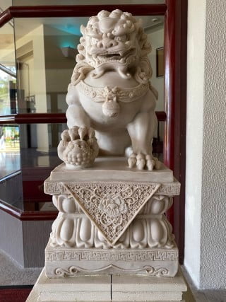 Cat entering house for Feng Shui