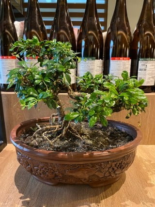 Bagua House Feng Shui Southern Hemisphere 1 Bagua House Feng Shui in Southern Hemisphere: Harmonizing energy for balance and prosperity