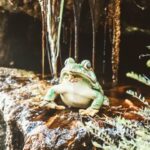 Enhance feng shui with wind chimes placed in the northeast to attract positive energy