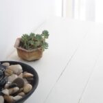 Feng shui-approved east-facing exterior house colors for positive energy flow and harmony