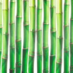 Best Month to Build a House According to Feng Shui BestMonthBuildHouseFengShui: Optimal construction timing for harmony and positive energy flow in accordance with Feng Shui principles