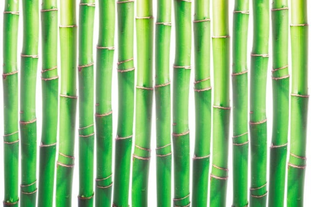 BestMonthBuildHouseFengShui: Optimal construction timing for harmony and positive energy flow in accordance with Feng Shui principles