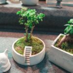 Optimize Your Space: FENG SHUI HOUSE LAYOUT 2018