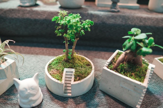 Feng Shui Vusitors Stay T What Part if the House 1 Optimize energy flow with Feng Shui visitors stay at the peaceful sanctuary of the home