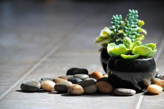 Feng shui in a house: creating harmony and balance with thoughtful interior design