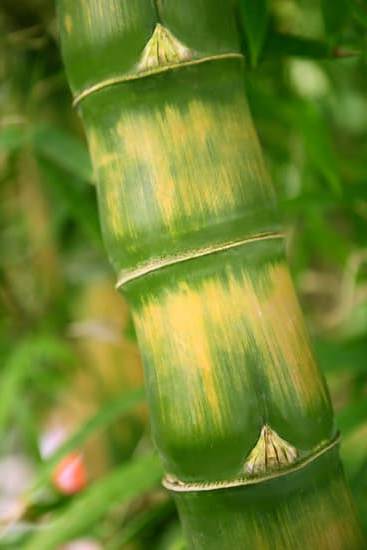 Optimal feng shui date for moving house 2022: January 25th, enhance new beginnings and harmonious transition