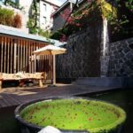 Chinese Feng Shui House 2016 Chinese Feng Shui House 2016: Harmonious Energy Design for Positive Living