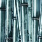 Feng Shui Northwest Facing House Optimize Your Home with Feng Shui Northwest Facing House for Positive Energies and Harmony