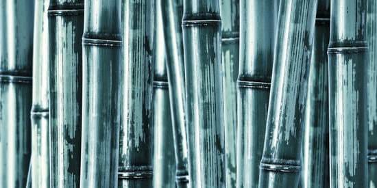 Optimize Your Home with Feng Shui Northwest Facing House for Positive Energies and Harmony