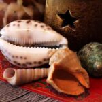 Positive energy and prosperity: Feng Shui House Number 11 Meaning