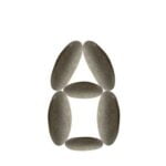 Feng Shui Colors for North Facing House Feng Shui Colors for North Facing House: Harmonious Blue, Green, and Black Palette for Balance and Prosperity