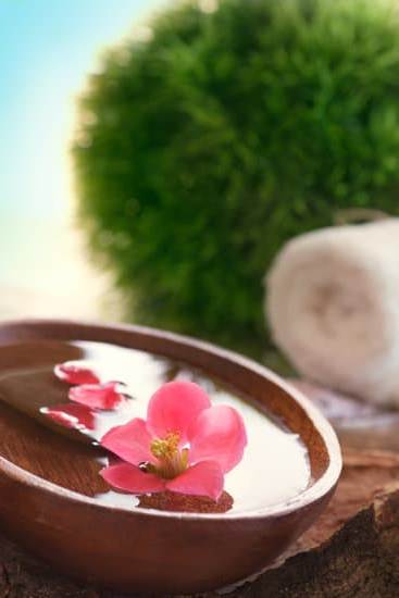 Optimize your feng shui work office for productivity and success with these tips