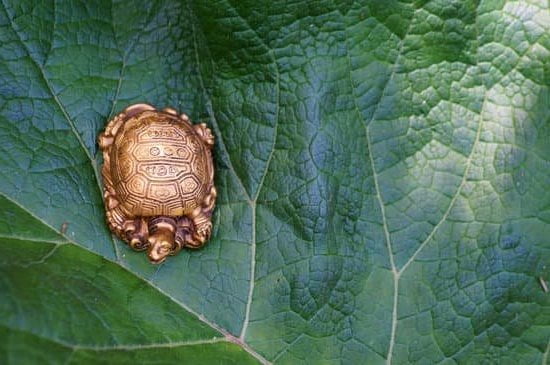 Optimize Wealth with Feng Shui Bedroom Money Corner