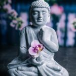 Money Plant in Office Feng Shui Money Plant in Office Feng Shui: Attract Financial Prosperity with this Lucky Green Plant