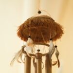 Plant for Office Feng Shui Green plant for office feng shui: promoting positive energy and productivity