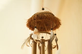 Green plant for office feng shui: promoting positive energy and productivity