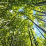 Feng Shui Bedroom Over Garage Feng shui bedroom over garage: creating positive energy and balance in your living space