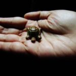 Bedroom Next to Bathroom Feng Shui Optimal bedroom and bathroom layout according to Feng Shui principles: bedroom next to bathroom for harmonious energy flow