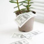 Home Office Feng Shui 2017 Home office feng shui 2017: Creating a balanced, harmonious workspace for optimal productivity and well-being