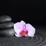 Feng Shui for a Small Bedroom Feng Shui tips for maximizing space in a small bedroom: balance and harmony