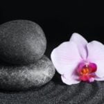 Optimize energy flow: Sharing Office Feng Shui