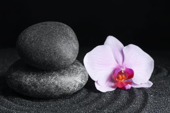 Sharing Office Feng Shui 1 Optimize energy flow: Sharing Office Feng Shui