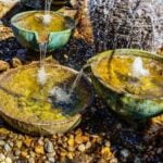 Creating Harmonious Workspace: FENG SHUI BASICS YOUR OFFICE