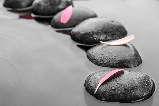 How to Decorate Office Feng Shui 1 How to Decorate Office Feng Shui: Balanced layout, natural elements, organized space for productivity