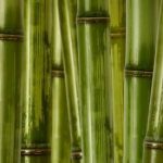 Best Feng Shui Colors Master Bedroom: Create harmony with shades of blue, green, and soft earth tones