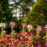 Optimize master bedroom layout for best feng shui - create a harmonious and serene space