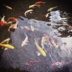 Vibrant flower painting, perfect for bedroom feng shui