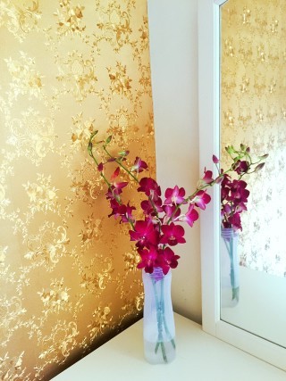 Feng Shui Bedroom Ideas: Harmonize your space with proper furniture placement and soothing colors for better energy flow