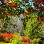 Optimize productivity in your Feng Shui bedroom desk for improved energy flow and focus