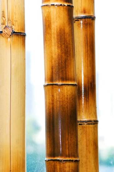 Good Feng Shui Images Bedroom 1 Harmonious bedroom layout with good feng shui images for positive energy and relaxation