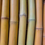 Feng Shui Kid Bedroom Optimize energy flow with FENG SHUI KID BEDROOM: inviting, balanced, and harmonious space for sleep and play