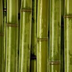 Feng Shui Images for Bedroom Feng Shui images for bedroom: harmonious landscapes, peaceful water features, serene nature scenes