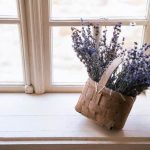 Optimize your feng shui bedroom layout by positioning your bed in the ideal direction for positive energy flow