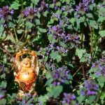 Feng Shui Bedroom Layout Map Feng Shui Bedroom Layout Map: Create harmonious energy by arranging furniture and décor strategically