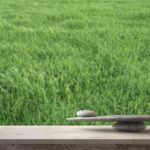 Improve Your Bedroom Feng Shui Enhance Your Bedroom Feng Shui with Simple Tips for a More Harmonious Space