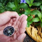 Optimal 8 Horses Feng Shui painting placement for positive energy flow in house