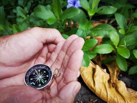 8 Horses Feng Shui Painting Placement in House 1 Optimal 8 Horses Feng Shui painting placement for positive energy flow in house