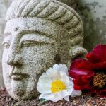 Harmonize your home with ancient practices for prosperity and positive energy flow