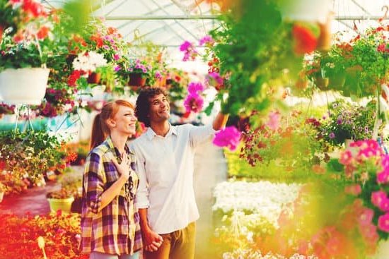 Harmonious FENG SHUI HOUSES with balanced energy flow for positive vibes and well-being